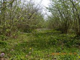 FINDIK DESTEK PARALARI BUGN HESAPLARA YATMAYA BALADI.