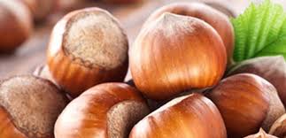 KAR, FINDIK FYATLARINI YKSELTT