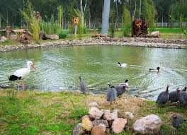 TÜRKİYE`NİN EN BÜYÜK DOĞAL YAŞAM PARKI TRABZON`DA KURULUYOR