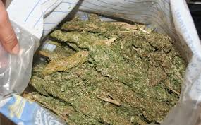 TRABZONDA ESRAR OPERASYONU!!!