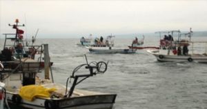 Balklarn En Verimsiz Yl!
