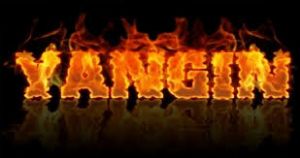 Trabzon`da yangn uykuda yakalad
