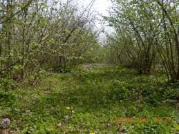 FINDIK DESTEK PARALARI BUGN HESAPLARA YATMAY