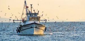 BALIKININ SYANI BTMYOR!!!