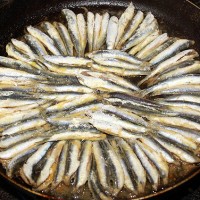 Gebelik boyunca balk tketilmemeli